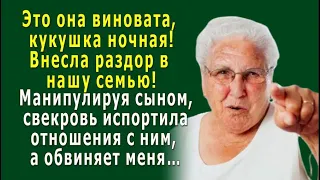 - Это она ВИНОВАТА, кукушка ночная! -  СВЕКРОВЬ сама испортила отношения с сыном, а обвиняет меня…