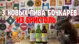 Пиво БОЧКАРЁВ вернулось?!