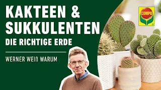 Die richtige Erde für Kakteen und Sukkulenten