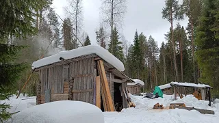 Вечерний быт у избы. Дождливое утро. Сходил за жерлицами, есть сработки горят флажки 5 серия.