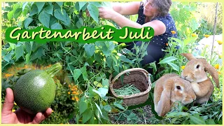 Gartenarbeit & Ernte im Juli