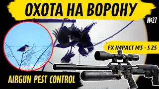 Осенняя охота на Ворону. Air Gun Pest Control №27. Crow Hunting 2023. Кроухантинг. Jack Hunter.