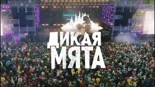 Дикая Мята 2019 – День первый