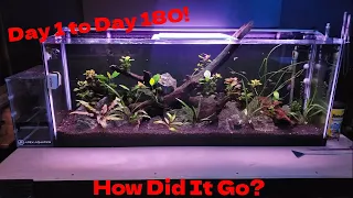 55 Gallon Planted Community Aquarium - Day 1 to Day 180!
