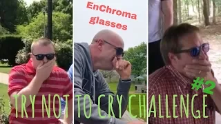 TRY NOT TO CRY CHALLENGE #2, EnChroma glasses