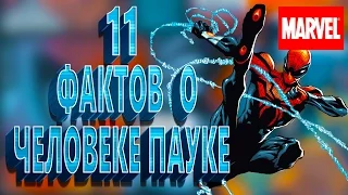 11 ФАКТОВ О ЧЕЛОВЕКЕ-ПАУКЕ || ОРГАНИЧЕСКАЯ ПАУТИНА || MARVEL Comics || [by Killian Trace]