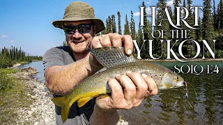 Hart of the Yukon - 14 Days Solo Camping in the Yukon Wilderness - E.4 - Fishing Grayling & a Moose!
