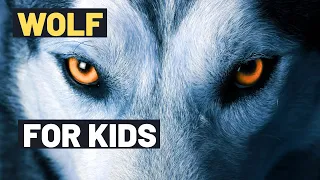 Wolf : Surprising Facts about Wolves you never knew! | Lesson For Kids On Wolves