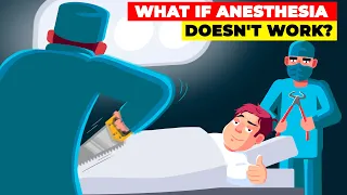 Anesthesia   where does it come from