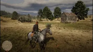 Red Dead Redemption 2 online Beecher's hope