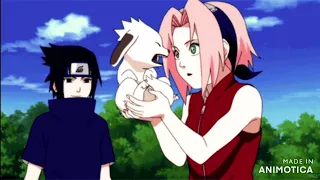 Sasuke and Sakura  - (One kiss)  Ship