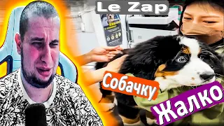 МАНУРИН СМОТРИТ LE ZAP - WATCH THE MANYRIN РЕАКЦИЯ ПРИКОЛЫ #реакция #reaction