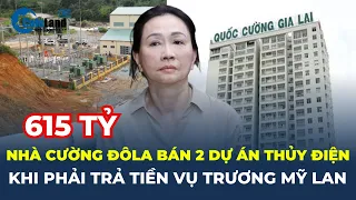 Quốc Cường Gia Lai BÁN 2 dự án thủy điện khi phải trả 2883 TỶ trong vụ Trương Mỹ Lan | CafeLand