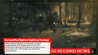 Declassified Bigfoot Sighting Footage - Breaking Pseudoscience NEWS Today