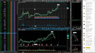 Real-Stocks Live Stream