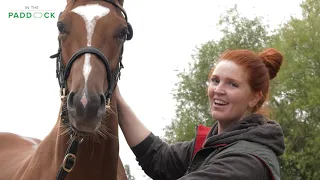 In The Paddock - Buying A Racehorse