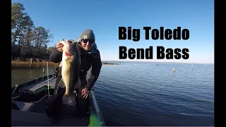 Big Bass on Toledo Bend in December