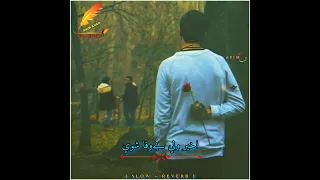 Akhir Wale Bewafa Shwe | Pashto Song | Qais Khan | [ Slow + Reverb ]