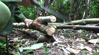 Solo Bushcraft, Camping Alone in the Rainforest, Alone,OFF GRID LIVING