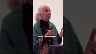 Jane Goodall on Personal Responsibility