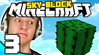 PARTI JE GOTOV DEČKI! ( Minecraft Sky Block #3 )