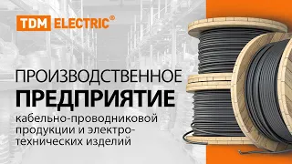 Производственное предприятие TDM ELECTRIC