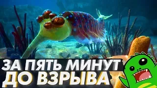 Жизнь и смерть первых многоклеточных: Эдиакарская Биота и дикинсония