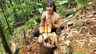 Harvest bamboo shoots and bring them to the market to sell | Tương Thị Mai