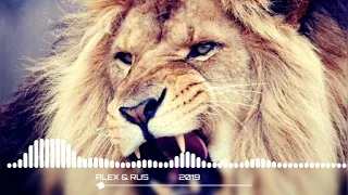 ALEX _ RUS - Дикая львица ORGINAL SONG | TikTok Trending Lion Roar Ringtone  | SahuKings