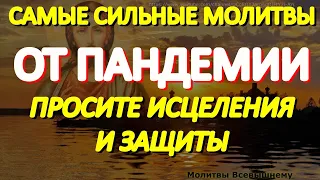 Самые сильные молитвы от пандемии. Просите у Господа защиты и исцеления