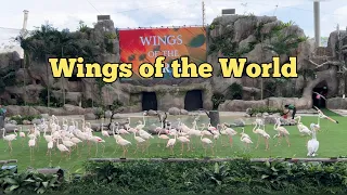 Wings of the World @ Mandai’s Bird Paradise | Singapore’s New Bird Park | Bird Paradise