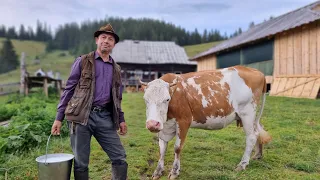 LIFE HIGH IN THE MOUNTAINS! WE MAKE CHEESE! UKRAINIAN MOUNTAIN VILLAGE