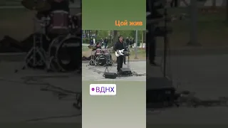 Цой жив!!! ВДНХ