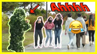 Bushman prank in Seoul 😁😁😁😁