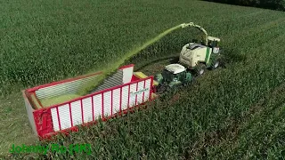 Maishäckseln 2023 Teil 7, LU Loritz mit Krone BIG X 1100, Fendt 930, 924, Pöttinger, Krone [4K]