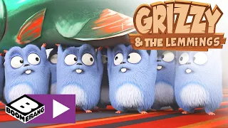 Grizzy și lemingii | Noul nostru lider | Cartoonito
