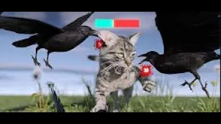 my best birds on the planets (Are Crows OP? by Tier zoo reaction)