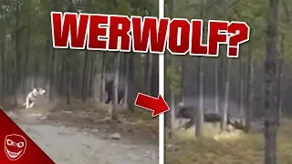 Was ist das? Video zeigt gruseliges Wesen aus den USA! Werwolf?