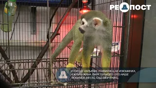 Харьковский зоопарк сегодня - объект масштабной реконструкции