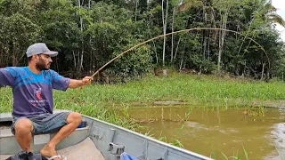 NÃO ESPERAVA PEGAR ESSE PEIXE NA VARA DE BAMBU , PESCARIA RIO MADEIRA 2024/Pescaria Raiz..