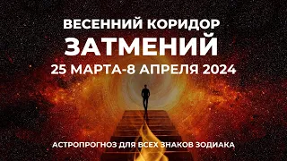 25 марта 2024 Лунное затмение | Солнечное затмение 8 апреля 2024 года | Астропрогноз для всех знаков