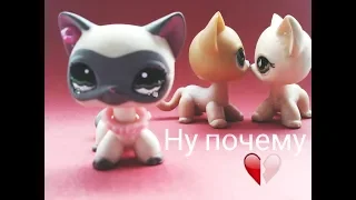 lps MV: Ну почему