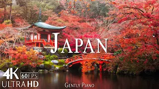 Japan 4K Nature Relaxation Film - Meditation Relaxing Music - Amazing Nature