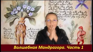 Волшебная Мандрагора. Часть 1.  № 2288