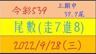 今彩539 『尾數(走7進8)』上期中37.7尾【2022年9月28日(三)】肉包先生