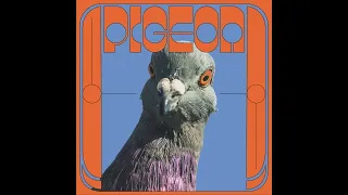 Pigeon - Yagana