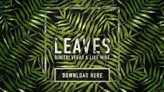 Dimitri Vegas & Like Mike - Leaves (Free Download)