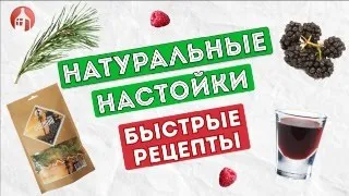 Домашние настойки на самогоне: 4 быстрых рецепта