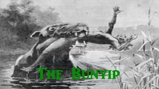 The Bunyip