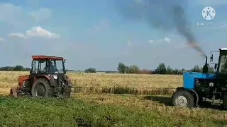 ЮМЗ 8040.2 МТЗ 82 витягують CLAAS Lexion